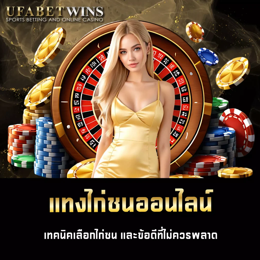 แทงไก่ชนออนไลน์ UFABETWIN