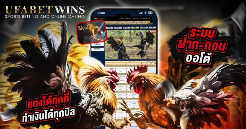 แทงไก่ชนออนไลน์ UFABETWIN